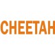 Grumman Cheetah Aircraft Logo