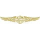 Honda Goldwing 1000 
