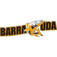 Lancair Barracuda Aircraft Logo Decals