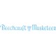 Beechcraft  Musketeer decal