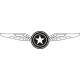 Martin U.S.A Wings Aircraft Logo,Vinyl Decal