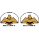 Mooney Aircraft Emblem, Logo,Vinyl Graphics,Decal