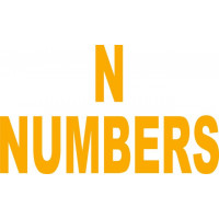 N NUMBERS TAIL AIRCRAFT CUSTOMIZED DECALS