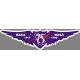 Naca 1915, Nasa 1990 75 Years Logo