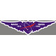 Naca 1915, Nasa 1990 Logo