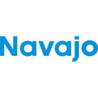 Piper Navajo Aircraft Logo