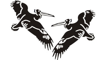 Pelican Ultralight Logo Airplane Decals