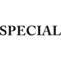 Pitts Special Aircraft Script Logo