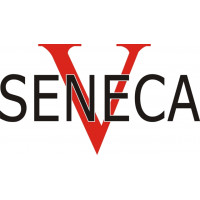 Piper Seneca V Aircraft Logo