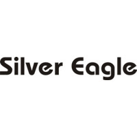 Cessna Silver Eagle P210 Aircraft Logo