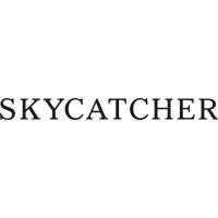 Cessna Skycatcher 