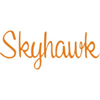 Cessna Skyhawk Aircraft Logo