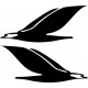 Cessna Skyhawk Aircraft Logo