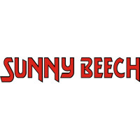 Beechcraft Sunny Beech Aircraft Logo 