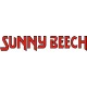 Beechcraft Sunny Beech Aircraft decals