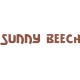 Beechcraft Sunny Beech Aircraft decals