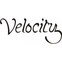 Velocity Aircraft Logo