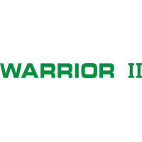Piper Warrior II Aircraft Logo