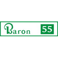 Beechcraft Baron 55 Aircraft Logo Decals