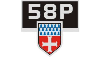 Beechcraft Baron 58P Medallion Aircraft Logo Decals