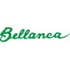 Bellanca Aircraft decals