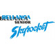 Bellanca Senior Skyrocket Aircraft Logo