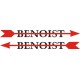 Benoist Aircraft Company decals