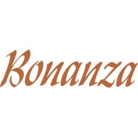 Beechcraft Turbocharged Bonanza Aircraft decals