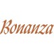 Beechcraft Turbocharged Bonanza Aircraft Logo
