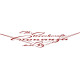Beechcraft Bonanza V Model 35 Aircraft Logo