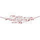 Beechcraft Bonanza V Model 35 Aircraft decals