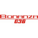 Beechcraft Bonanza G36 