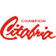 Champion Citabria Aircraft Logo