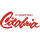 Champion Citabria Aircraft Logo