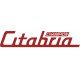 Champion Citabria Aircraft Graphics Logo