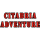 Citabria Aurora Aircraft,Logo,Emblem
