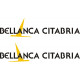 Bellanca Citabria Aircraft Logo
