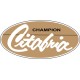 Bellanca Citabria Champion Aircraft Logo 