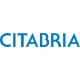 Bellanca Citabria Aircraft decals