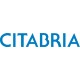 Bellanca Citabria Aircraft Logo