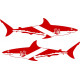 Shark Scuba Diving Logo
