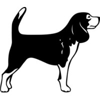 Beagle Dog Decal Window/Car Decal