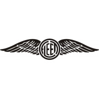 Fleet Wings Aircraft Logo