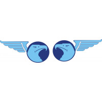 Fleewings Aircraft Logo