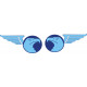 Fleewings Aircraft Logo
