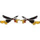 Flying Duck Aircraft Fun Stuff