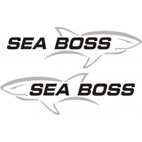 Sea Boss Boat 