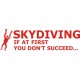 Skydiving If You Don't Succeed 