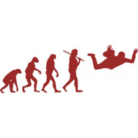 Skydiving Evolution 