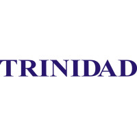 Trinidad Aircraft Logo Decal